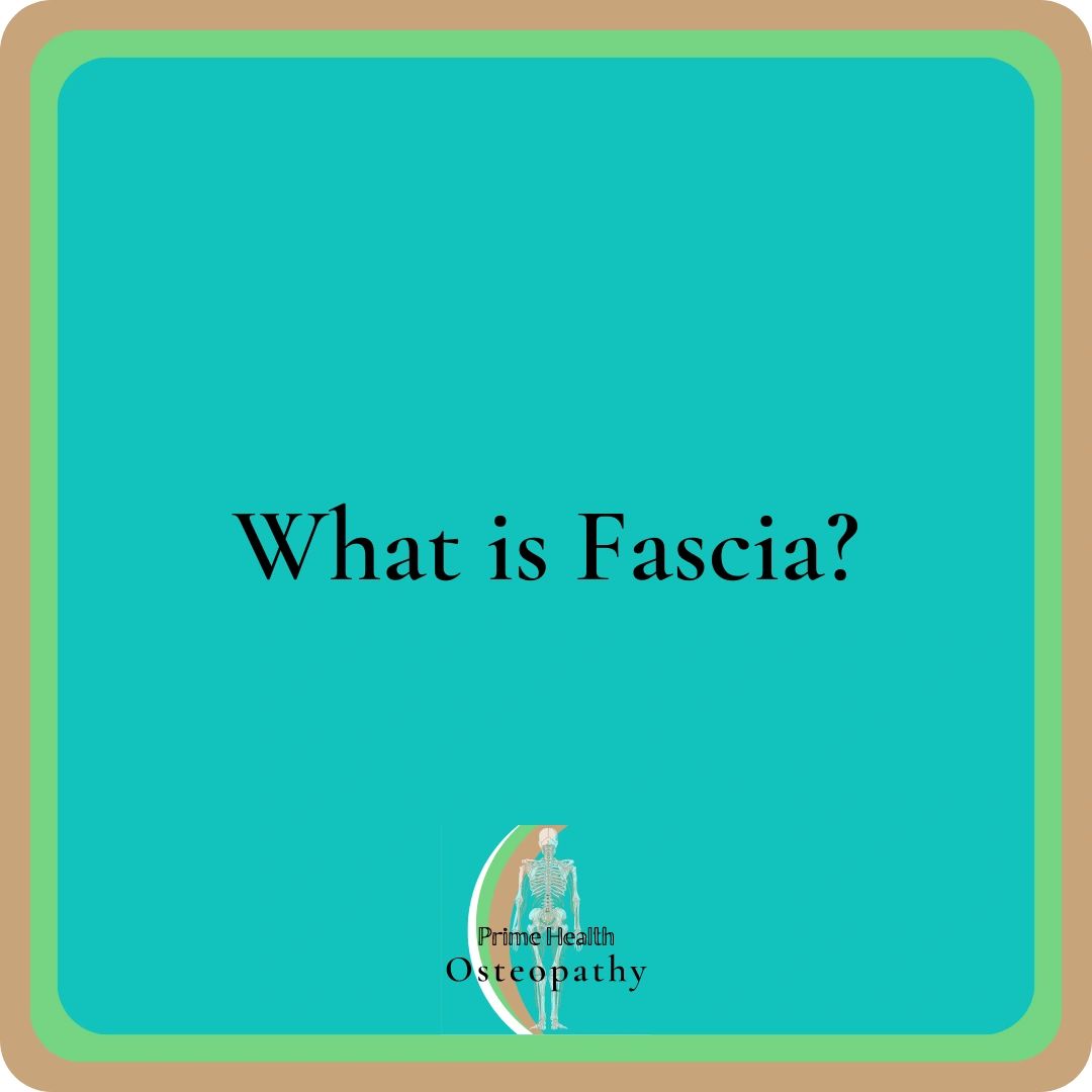 what-is-fascia